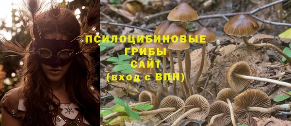 дмт Балабаново