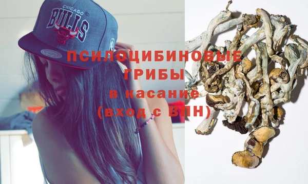 ПСИЛОЦИБИНОВЫЕ ГРИБЫ Балахна
