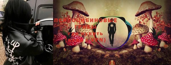 мескалин Ростов