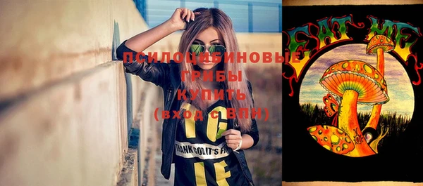ПСИЛОЦИБИНОВЫЕ ГРИБЫ Балахна